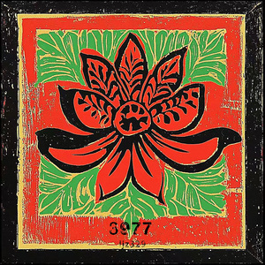 迪拜天体营3免费观看
