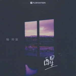 迪拜天体营3免费观看
